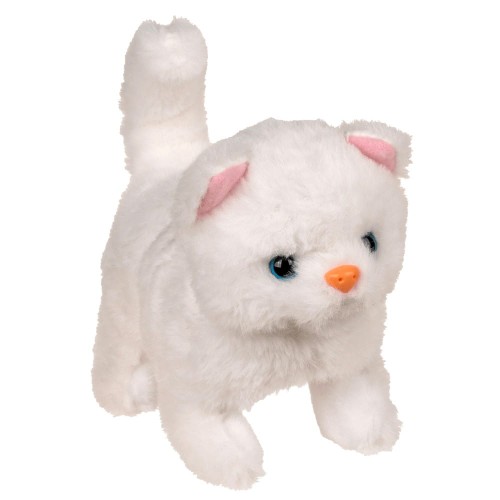 WR.jpg