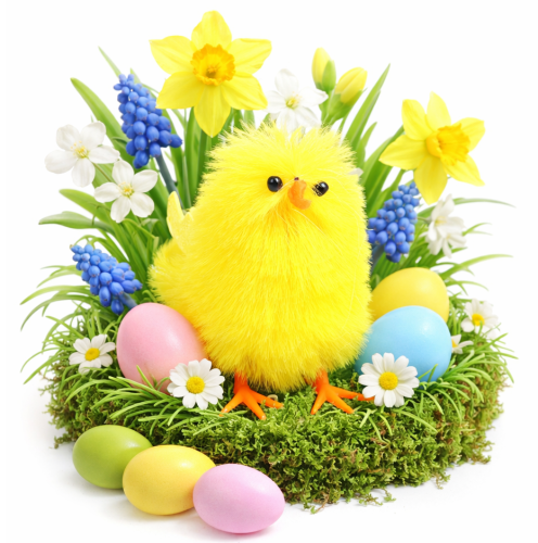 17150fa8-b533-47e5-b6d1-131c2b6a5fd9.png