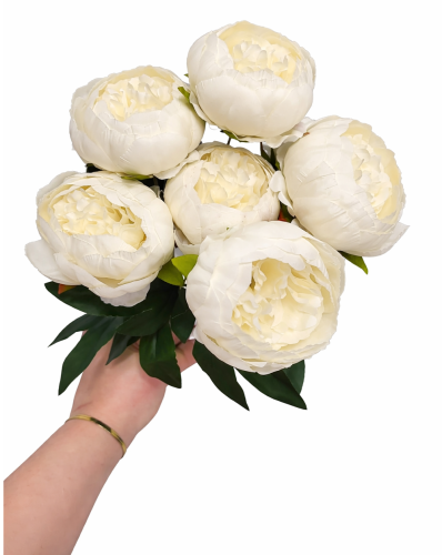 frikopiwonia (4).png