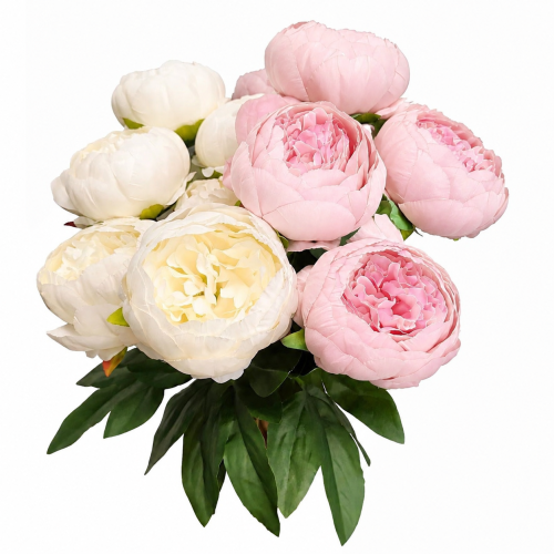 10717f3a-42ac-41fa-97c7-d3f0f3887a0c.png