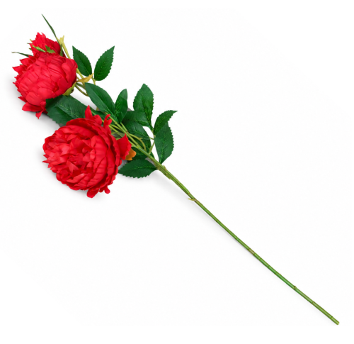 frikolino983344 (2).png