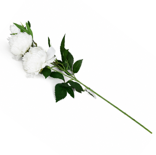 frikolino9833111 (1).png