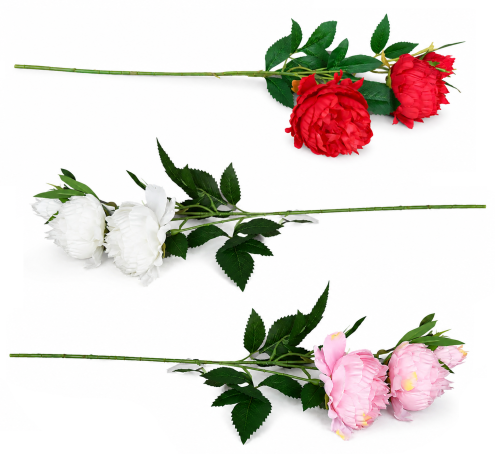 frikolino983366 (2).png