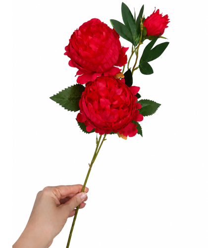 frikolino983366 (1).png