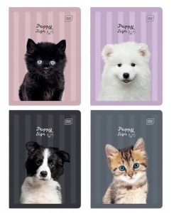 ZESZYT A5 32 KARTKOWY W LINIE UV PUPPY SIGN 70G 6719 INTERDRUK