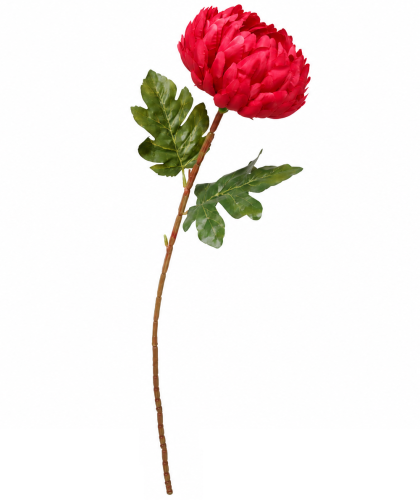 frikolino16888.png