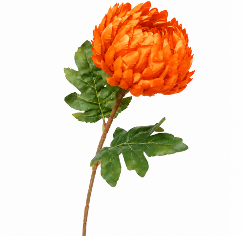 frikolino142354 — kopia.png