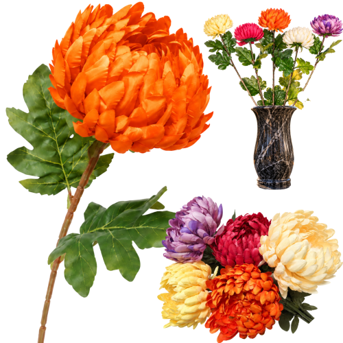 frikolino1633388.png