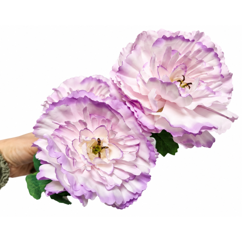 frikolino2343566.png