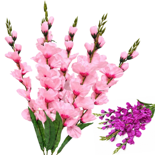 frikolino1425 (1200 x 1200 px).png