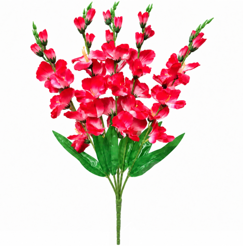 frikolino23544 (2).png