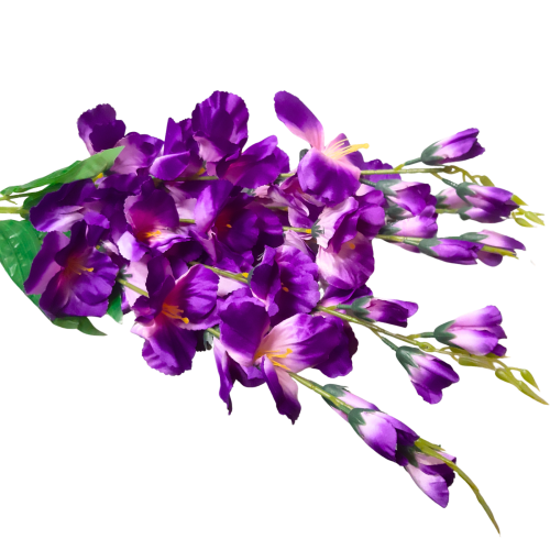 frikolino23544 (1).png
