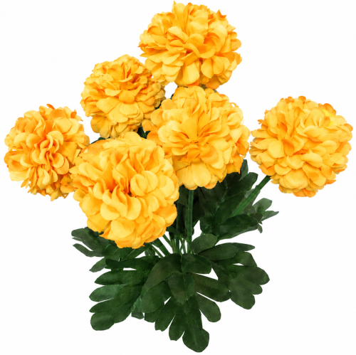 frikolino135343.png